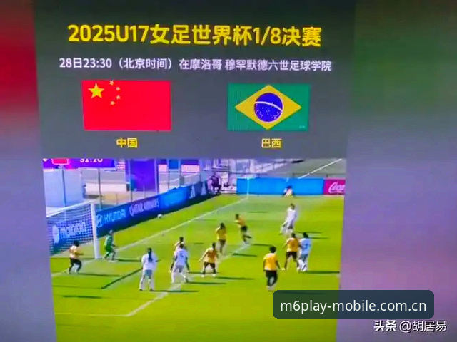 资深用户分享U17世界杯抽签分析：中国青训与M6米乐体育赛事评测实战经验
